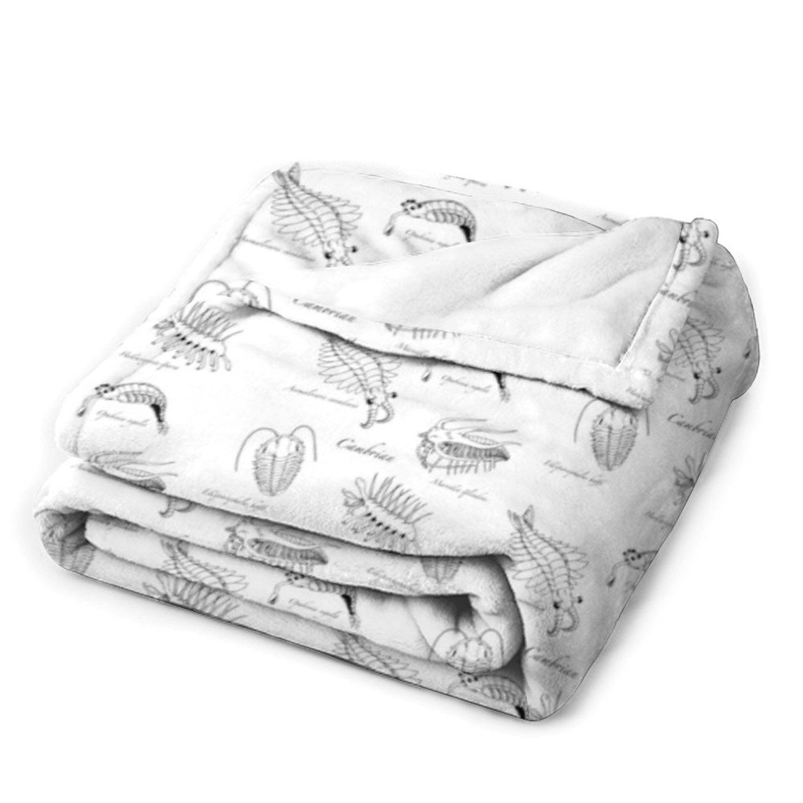 Cambrian Life (police de carac - Luxury Lifestyle Font avis et prix